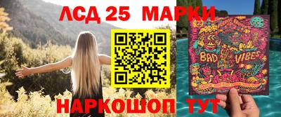 сатива Новокубанск