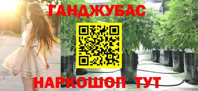 сатива Новокубанск