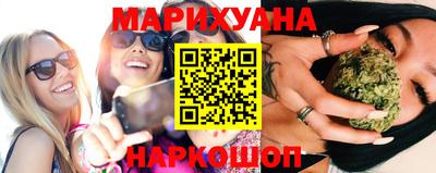 сатива Новокубанск