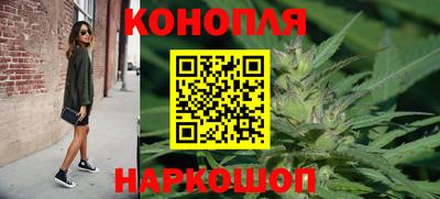 сатива Новокубанск