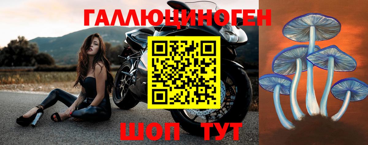 Славянск-на-Кубани  Галлюциногенные грибы мицелий  Вход с VPN 